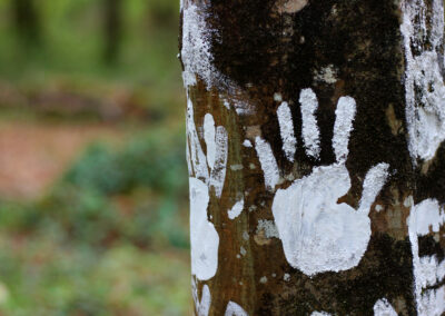 Sur les traces de l’invisible